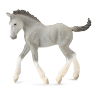 SHIRE HORSE FOAL GREY (M)