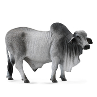 BRAHMAN BULL GREY (L)