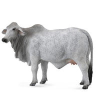 BRAHMAN COW GREY (L)