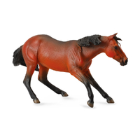 QUARTER HORSE STALLION BAY (XL)