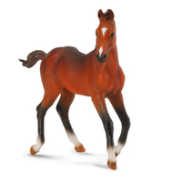 QUARTER HORSE FOAL BAY (M)