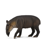 BAIRDS TAPIR (L)