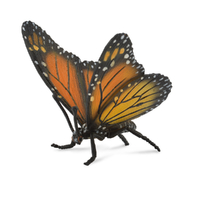 MONARCH BUTTERFLY (L)