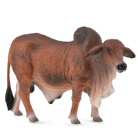 BRAHMAN BULL RED (L)
