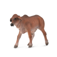 BRAHMAN CALF RED (S)