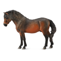 DARTMOOR PONY BAY (L)