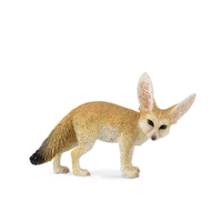 FENNEC FOX (S)