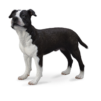 AMERICAN STAFFORDSHIRE TERRIER (L)