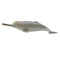 GANGES RIVER DOLPHIN (M)