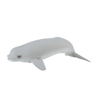 BELUGA WHALE CALF (M)