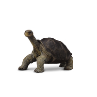 TORTOISE PINTA ISLAND (GEORGE) (M)