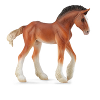 CLYDESDALE FOAL BAY (M)