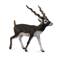 BLACKBUCK (L)