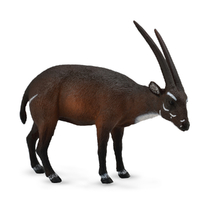 SAOLA (L)