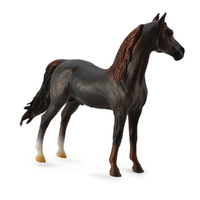 MORGAN STALLION CHESTNUT (XL)