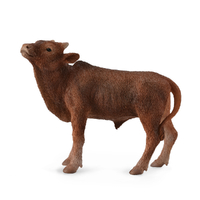ANKOLE-WATUSI CALF (S)