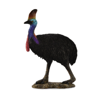 CASSOWARY SOUTHERN (L)