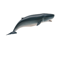 PYGMY SPERM WHALE (M)