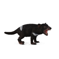 TASMANIAN DEVIL (M)