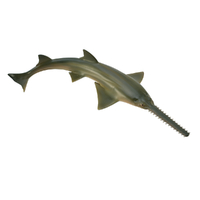 SAWFISH (M)