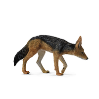 BLACK-BACKED JACKAL (M)
