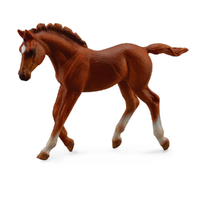 THOROUGHBRED FOAL WALK - CHESTNUT (M)
