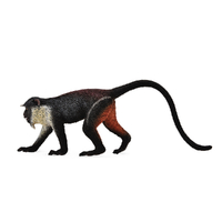 DIANA MONKEY (M)
