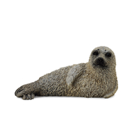 SPOTTED SEAL PUP (S)