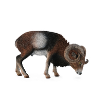 EUROPEAN MOUFLON (L)