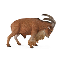 BARBARY SHEEP (L)