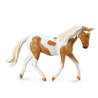 PINTO MARE PALOMINO (XL)