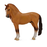 CAMPOLINA STALLION RED DUN (XL)