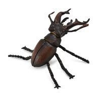 STAG BEETLE (M)