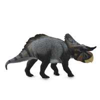 NASUTOCERATOPS (L)