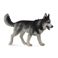 SIBERIAN HUSKY (L)