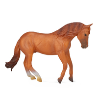AUSTRALIAN STOCK HORSE STALLION C-NUT (XL)
