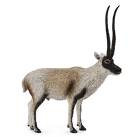CHIRU (TIBETAN ANTELOPE) (L)