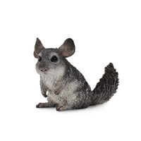 CHINCHILLA LONG TAILED (M)