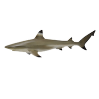BLACKTIP REEF SHARK (M)