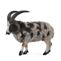 JACOB SHEEP (L)