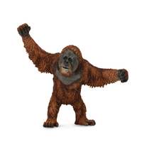ORANGUTAN (L)
