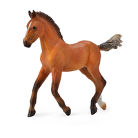 HANOVERIAN FOAL BAY (M)