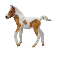 DARTMOOR HILL FOAL SKEWBALD (M)