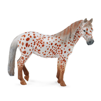 BRITISH SPOTTED PONY MARE CHESTNUT (XL)