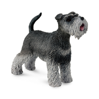 SCHNAUZER (M)