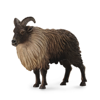 HIMALAYAN TAHR (L)