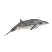 BLAINVILLES BEAKED WHALE (L)