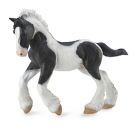 GYPSY FOAL B & W PIEBALD (M)