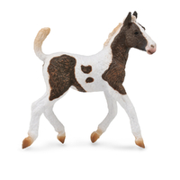 CURLY FOAL (M)
