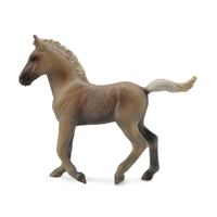 ROCKY MOUNTAIN FOAL CHOCOLATE (M)